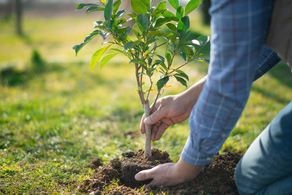 ADC_About_Compliance_ESG_Environmental_Responsibility_1380x910