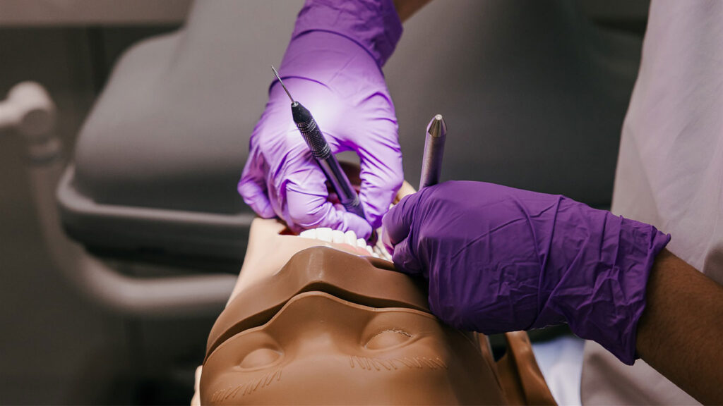 ADC_Australian_Education_Providers_Accredited_Programs_Overview_Accredited_Program_List_1378x776